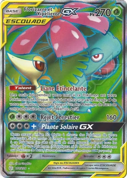 Florizarre et Vipélierre-GX 210/236