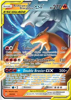 Reshiram et Dracaufeu-GX 20/214