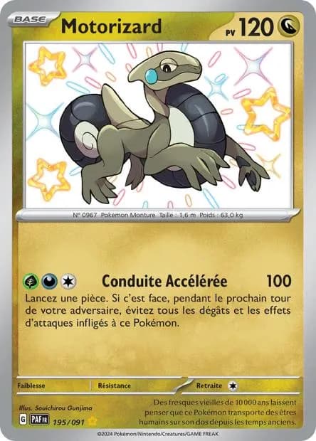 Motorizard 195/91