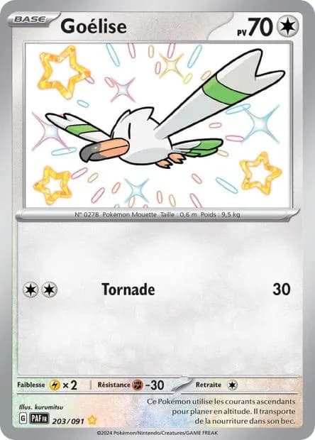 Goélise 203/91