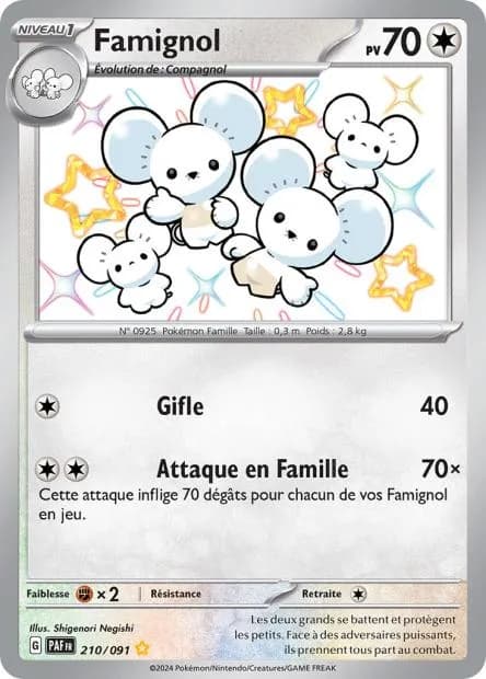 Famignol 210/91