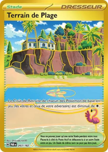 Terrain de Plage 263/182