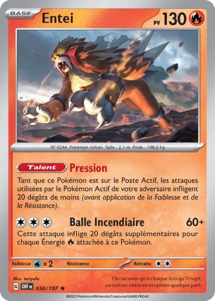 Entei 30/197