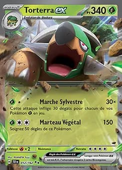 Torterra ex 12/162