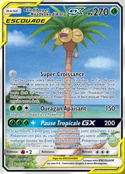 Brindibou et Noadkoko d’Alola-GX 215/236