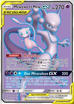 Mewtwo et Mew-GX 222/236