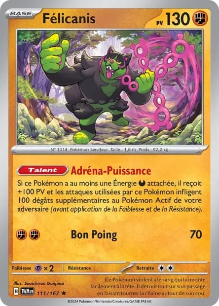 Félicanis 111/167