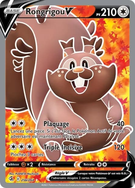 Rongrigou-V 256/264