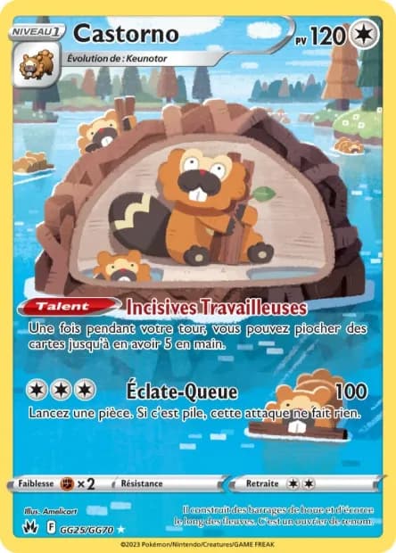 Castorno GG25